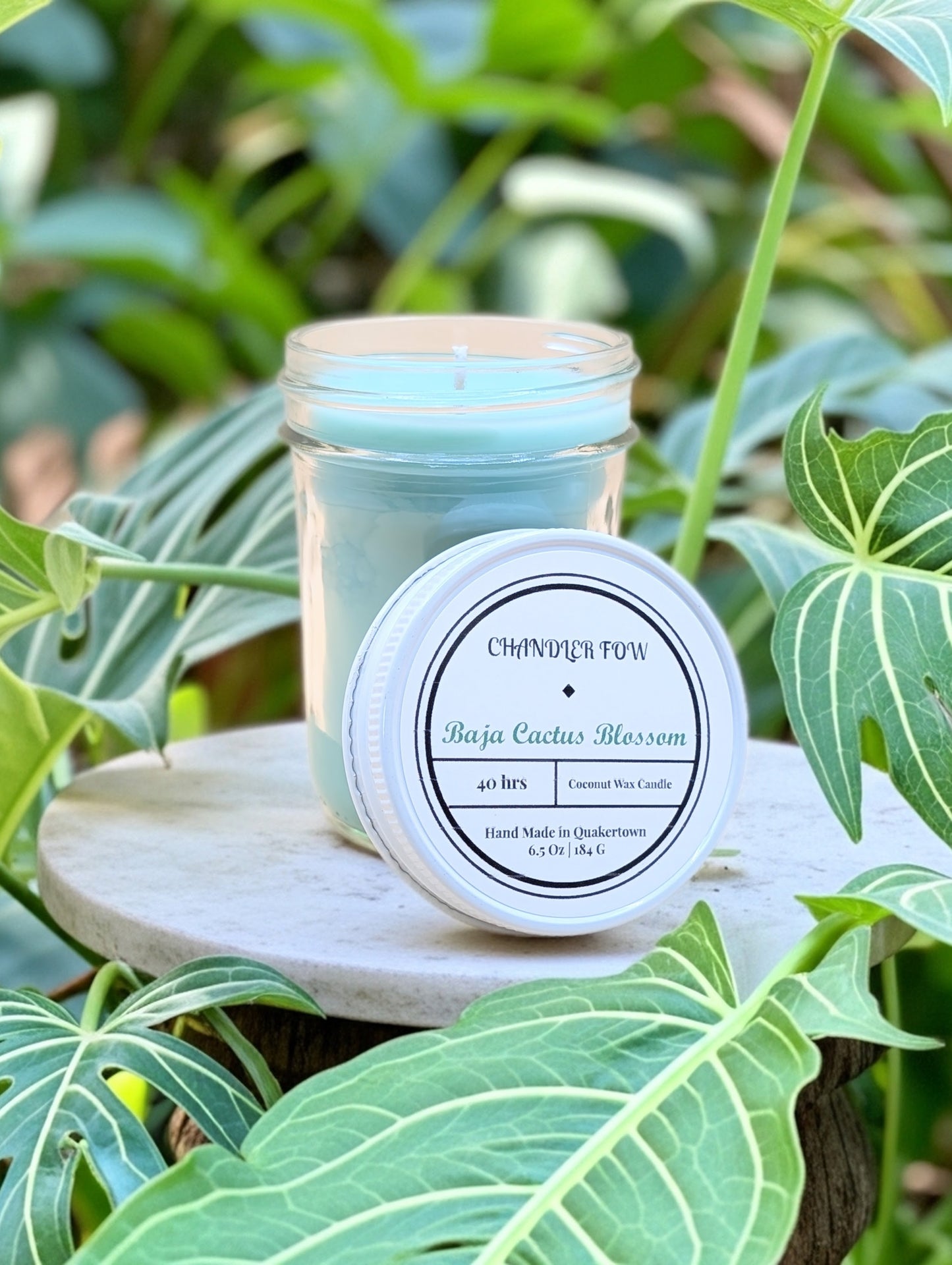 Baja Cactus Blossom 6.5 Oz Candle